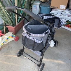 バギー(⚠️ベビー、キッズ用ではありません)の画像