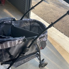 バギー(⚠️ベビー、キッズ用ではありません)の画像
