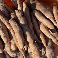 キャッサバ 芋の画像