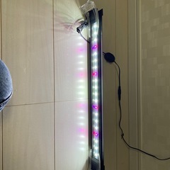コトブキ　LEDライト　水槽の画像