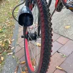 子供用自転車　ファイヤードラゴンの画像