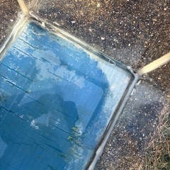 これから引き取り来れる方 限定 
水槽　ライトの画像