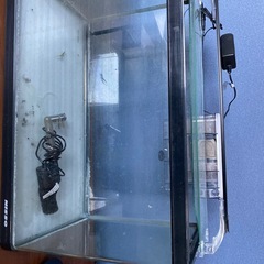 ニッソウ　水槽の画像