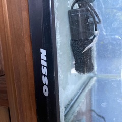 ニッソウ　水槽の画像