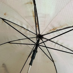 ビニール傘　日傘　2本セットの画像