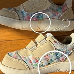 イフミー  14.5cmの画像