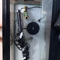 ニッソウ　水槽の画像