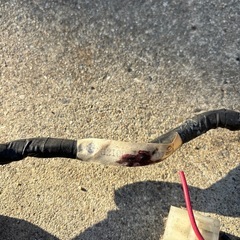 ホンダ純正　32100系　ハーネスの画像