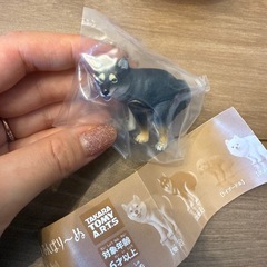 ふんばりーぬ① 全種類or個別okの画像