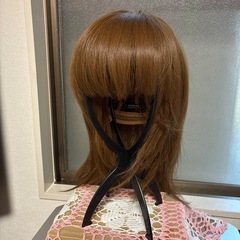 ヘアーウィッグ
の画像
