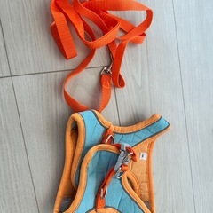 ハーネスの画像