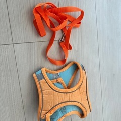 ハーネスの画像