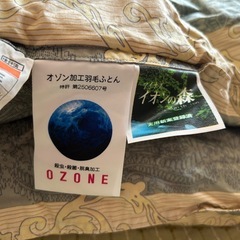 羽毛布団 ポーランドフィンガートップ ホワイトグースの画像