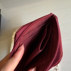 クロコダイル コインケースの画像