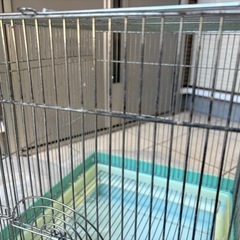 HOEIの鳥籠の画像