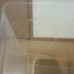 天馬　衣装ケースの画像