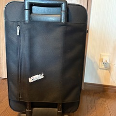 キャリーバッグの画像
