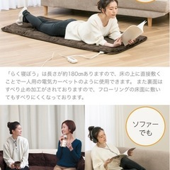 【新品未開封】敷くだけカンタン　洗えるらく寝んぼう　パーソナル暖房の画像