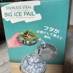 ビッグアイスペール　2Lの画像