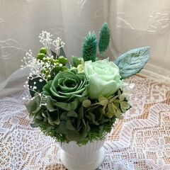 文京シビックセンターで、１月２３日（金）１８時３０分～ と１月２４日（土）１４時～に白いポット（10㎝）のプリザーブドフラワーアレンジメントのワークショップを行います。週末にほっと一息お好きな色合いのお花に触れながら、やさしいお時間を過ごしませんか？の画像