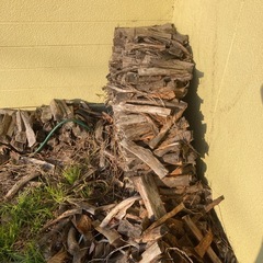 桜の木の薪
の画像