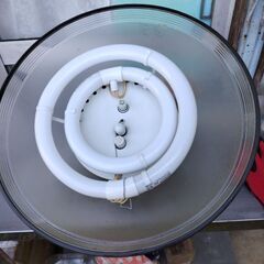 【無料】電灯の画像