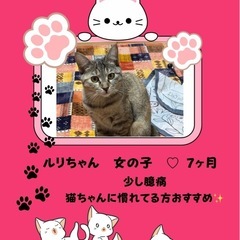 るりちゃん 女の子 7ヶ月
