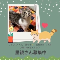 リュウスイくん 男の子 7ヶ月