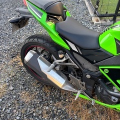ninja250　低走行 の画像