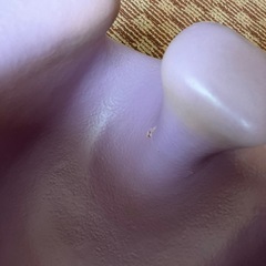 バンボ ベビーチェア の画像