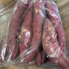 紅はるかの画像