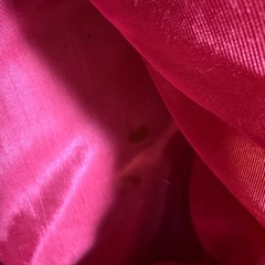 大きめのバッグの画像