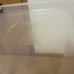 JEJアステージ　衣装ケースの画像