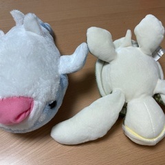 ぬいぐるみ　ウミガメ　ジンベイザメの画像