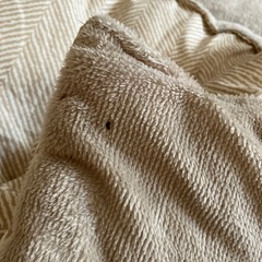 こたつ掛け布団の画像