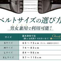 ガードナーベルト　Lの画像