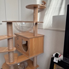 木製キャットタワー
の画像