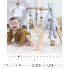 HoppL ベビージム グレーの画像