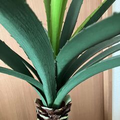 ★フェイクグリーン　人工観葉植物の画像