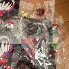 今年中処分ポケモン好きなお子様にの画像