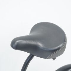 SNAPPER 20インチ シティサイクルの画像