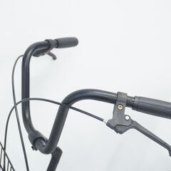 SNAPPER 20インチ シティサイクルの画像