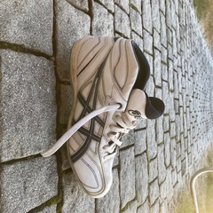 スパイク&練習用硬式野球ボールの画像