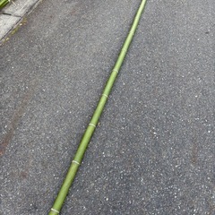 竹の画像