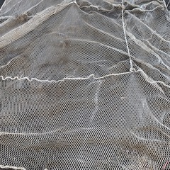 安全ネットの画像