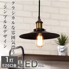 【定価4,000円】LEDライト付き  ペンダントライトの画像