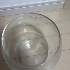 ミーグリーン 水槽の画像