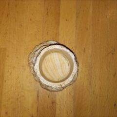 爬虫類用水、餌入れの画像