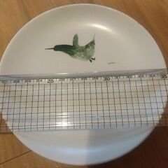 鳥のイラスト 皿 2枚の画像