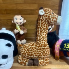 ぬいぐるみの画像